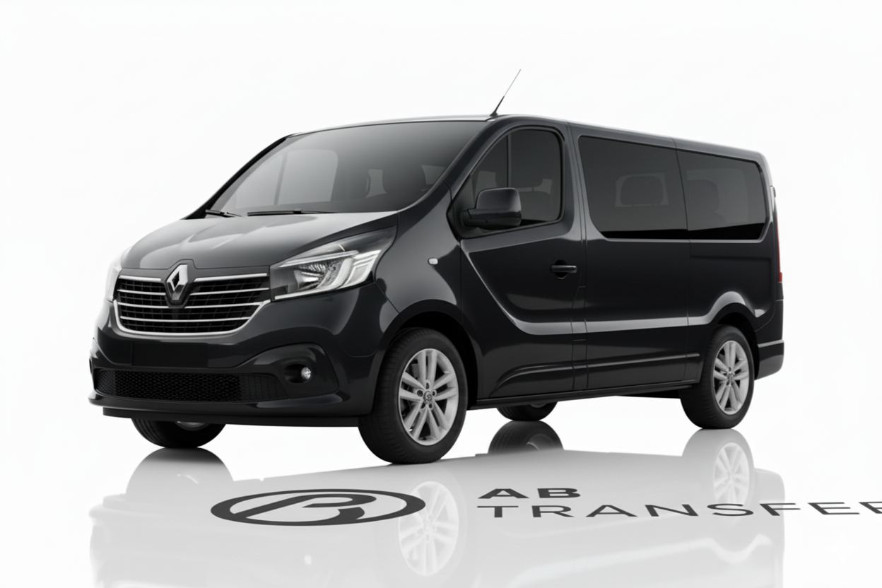 Standard Minivan (up to 8)