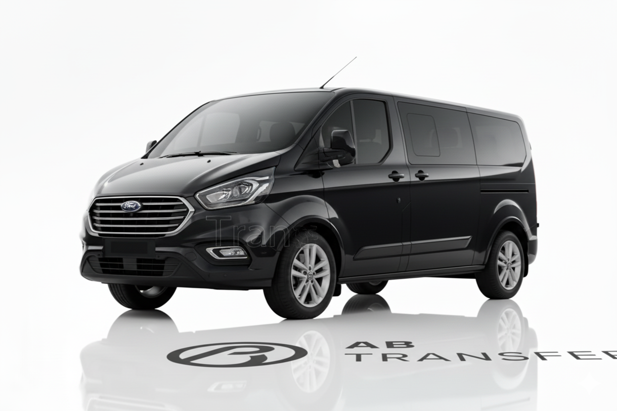 Business Minivan (up to 7)