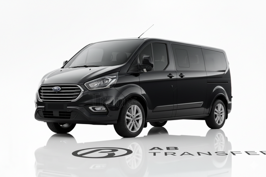 Business Minivan (up to 7)