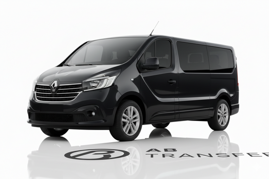 Standard Minivan (up to 8)